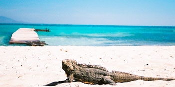 Cayo Iguana, Cuba