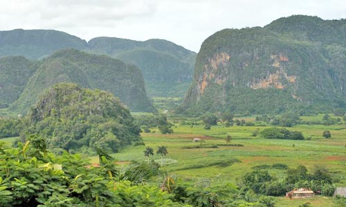 Vinales