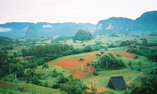 Vinales